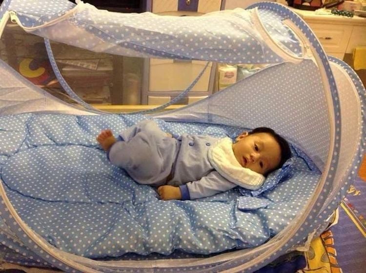 Let children under 1 year old sleep under a mosquito net to prevent dengue fever
