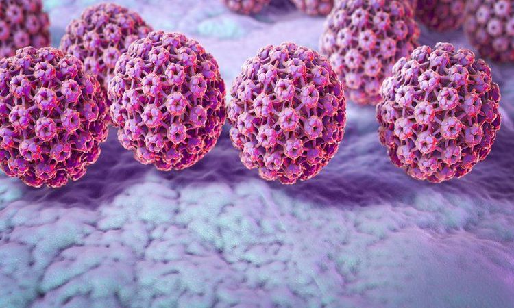 
Quan hệ bằng miệng làm lan truyền HPV - tác nhân gây ung thư
