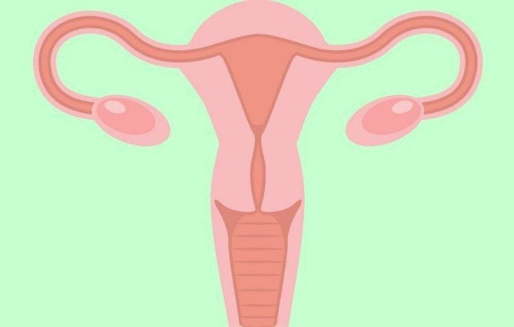 
Intestinal adhesions can cause infertility due to adhesions in the uterus or fallopian tubes
