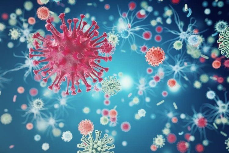 
Khi tải lượng virus trong cơ thể người bệnh quá cao, nghĩa là bệnh nhân đang có nhiều virus HIV trong cơ thể
