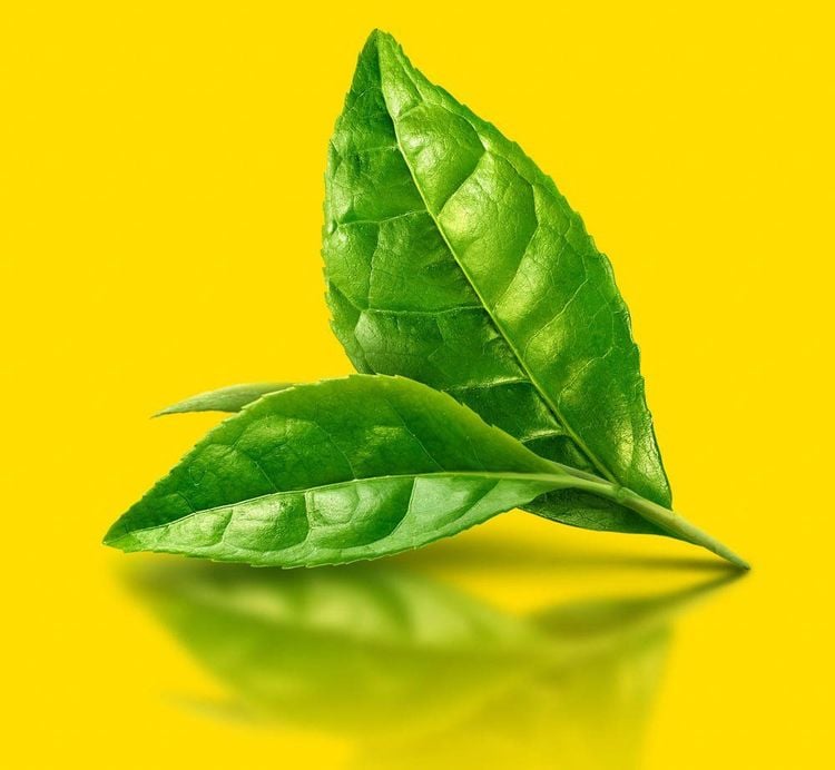 Postpartum mothers can use simple remedies for tooth sensitivity, such as chewing green tea leaves.