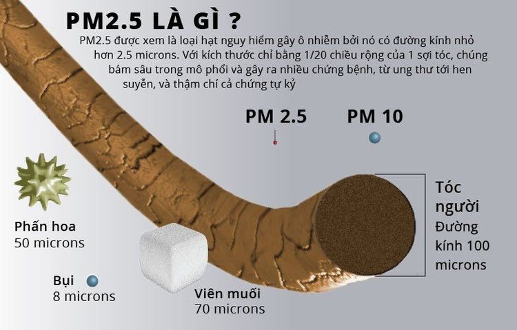 
Bụi mịn gây ảnh hưởng đến sức khỏe con người
