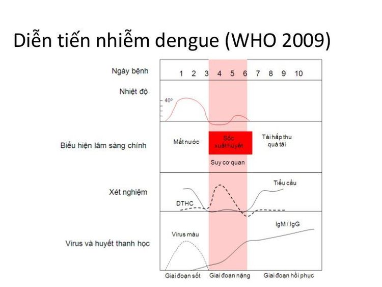 
Diễn tiến sốt xuất huyết Dengue theo WHO
