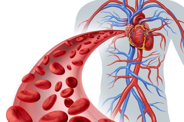 
Circulatory diseases that reduce the ability to transport blood to the lungs can cause respiratory acidosis
