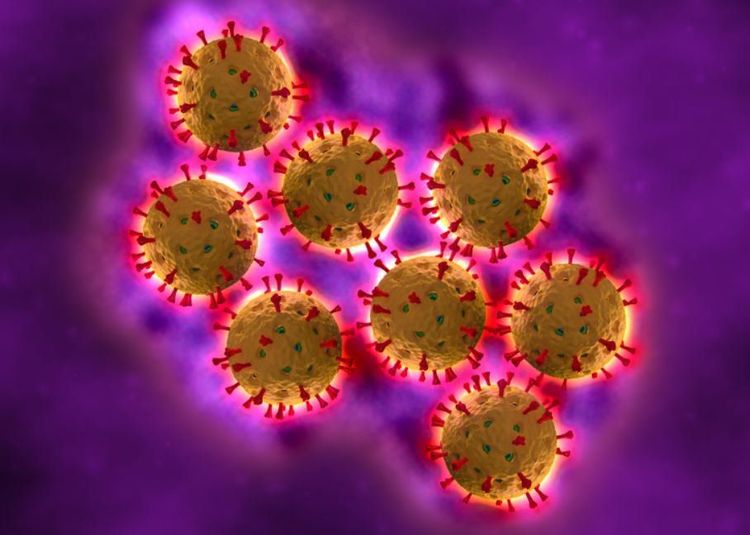 
Virus Rota gây bệnh tiêu chảy ở trẻ nhỏ
