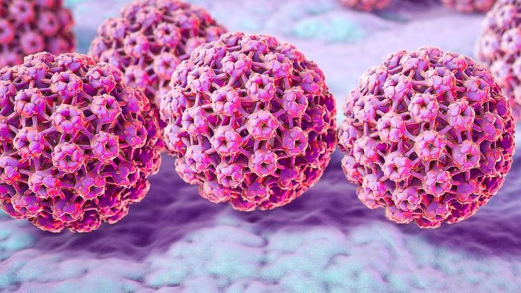 
Virus HPV có thể dẫn đến ung thư cổ tử cung hoặc ung thư hậu môn hay dương vật
