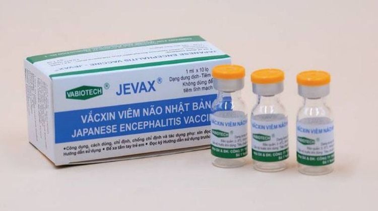 
Vắc-xin JEVAX
