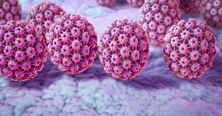 
Bệnh sùi mào gà do human papilloma virus - HPV gây ra
