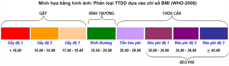 
Minh họa bảng đánh giá và phân loại tình trạng dinh dưỡng ở người trưởng thành
