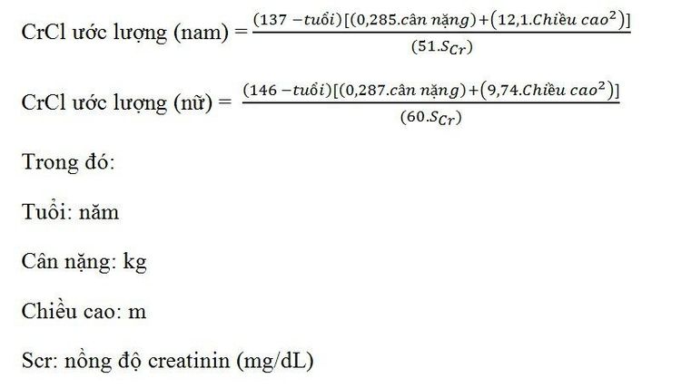 6. Các Bệnh Lý Liên Quan Đến Mức Lọc Cầu Thận Thấp