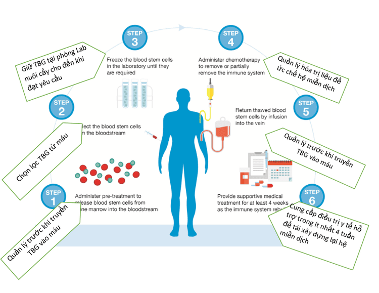 
Truyền tế bào gốc tạo máu tự thân
