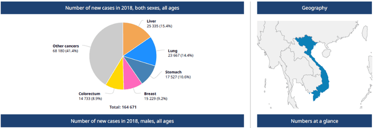 
Số ca mắc mới ung thư tại Việt nam năm 2018
