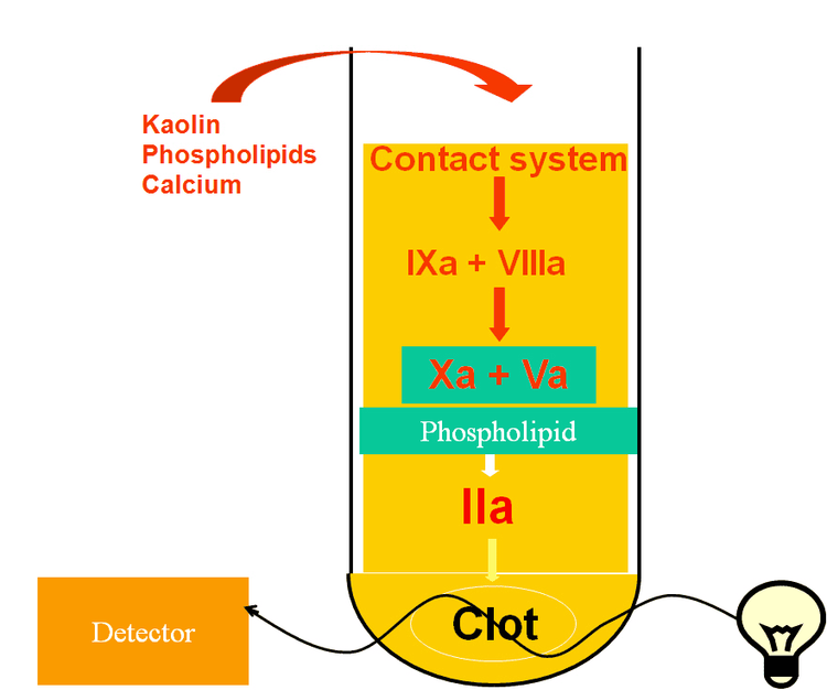 
Xét nghiệm APTT (activated partial thromboplastin time)
