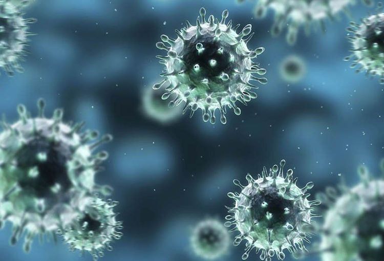 
Cơ chế bệnh sinh của sự nhiễm virus
