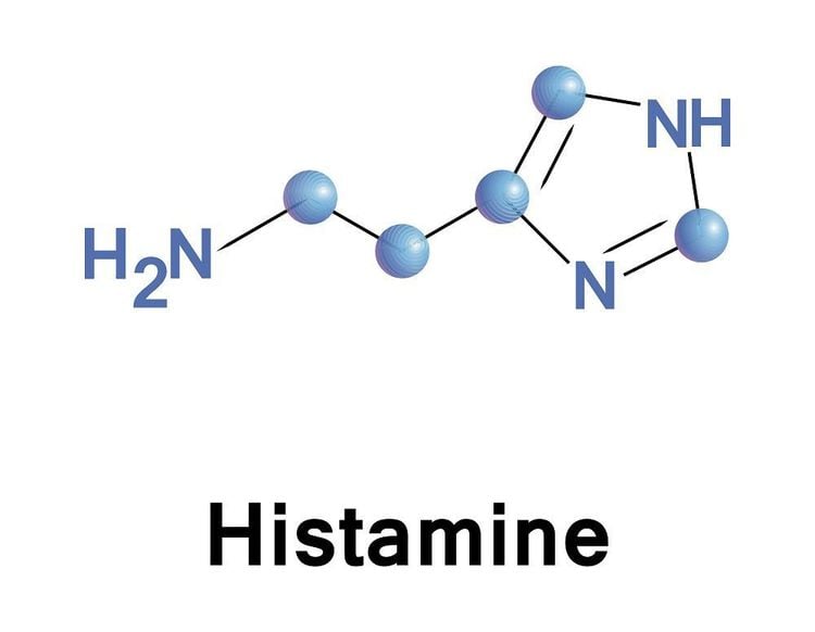 
Sự hình thành Histamin bắt đầu từ sự khử carboxyl của Histidin dưới sự xúc tác của decarboxylase
