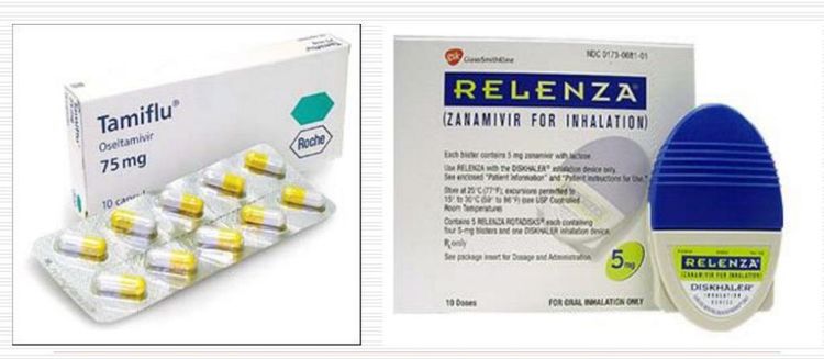 
Thuốc Tamiflu và Relenza đang được lưu hành ở Việt Nam
