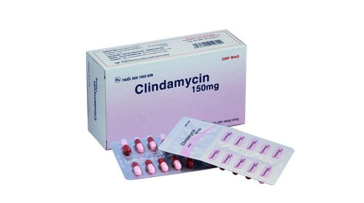 
Thuốc Clindamycin
