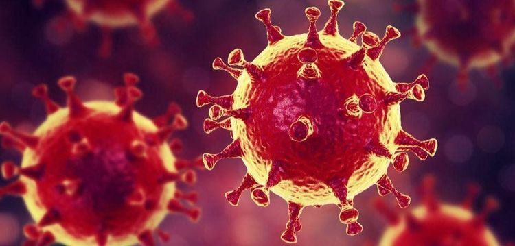 
Coronavirus gây bệnh MERS với các protein hình vương miện trên bề mặt (nguồn: www.intelligenliving.com)
