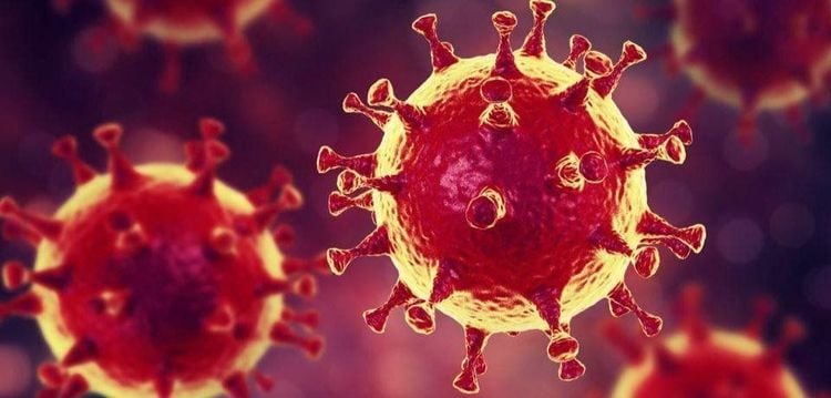 
Coronavirus gây bệnh MERS với các protein hình vương miện trên bề mặt (nguồn: www.intelligenliving.com)
