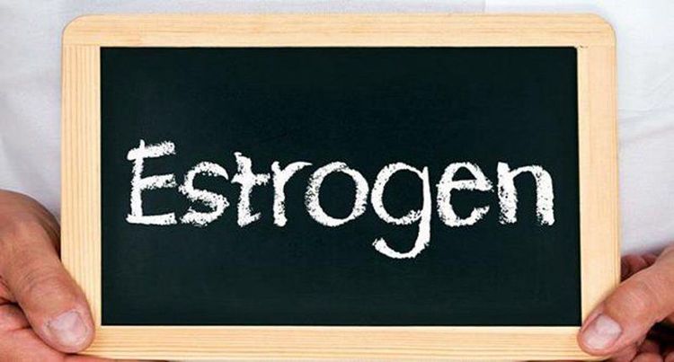 Việc tăng cân khiến cơ thể tiết ra một lượng lớn hormon estrogen
