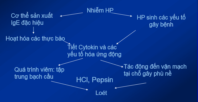 
Cơ chế bệnh sinh của viêm loét dạ dày tá tràng
