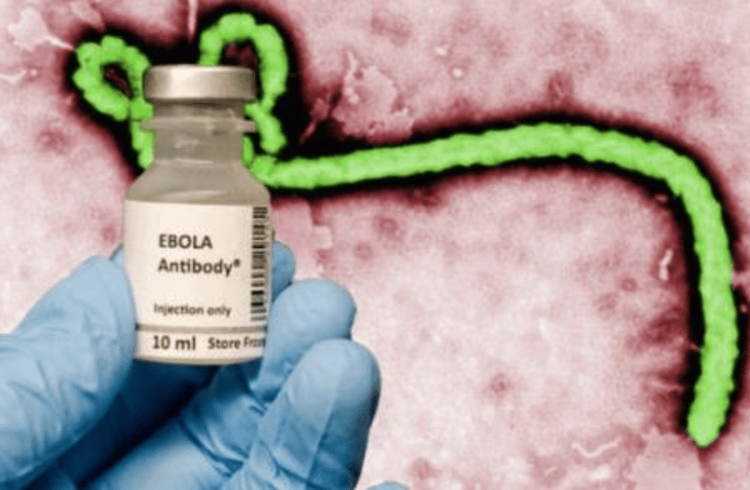 
Sử dụng thuốc kháng virus trong điều trị bệnh do virus Ebola
