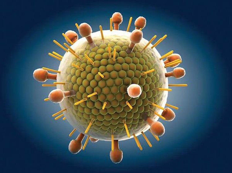 
Virus Paramyxovirus gây ra bệnh quai bị
