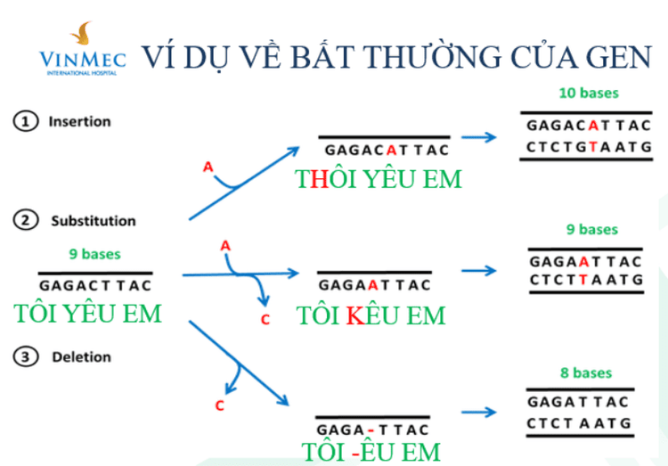 Hướng dẫn đọc kết quả trong xét nghiệm di truyền ung thư