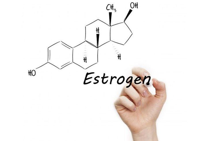 
Estradiol là một dạng của hormone Estrogen
