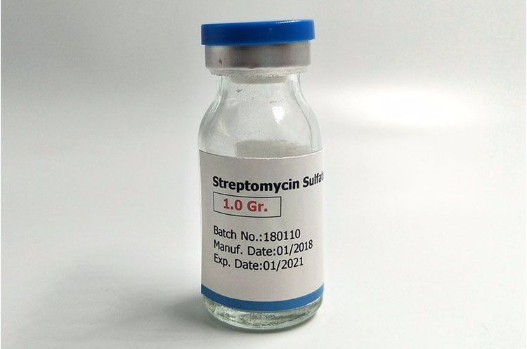 
Streptomycin là một trong các loại thuốc được dùng trong điều trị lao hệ thần kinh trung ương
