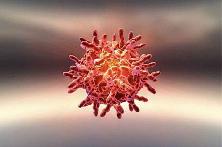 
Các virus cảm lạnh thông thường có thể sống trong ba giờ trên da hoặc các bề mặt khác
