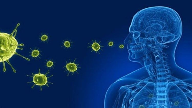 
Bệnh sởi lây truyền bởi không khí bị nhiễm các hạt nước miếng có chứa virus
