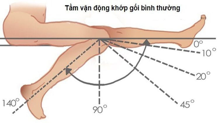 
Biên độ vận động của khớp gối bình thường
