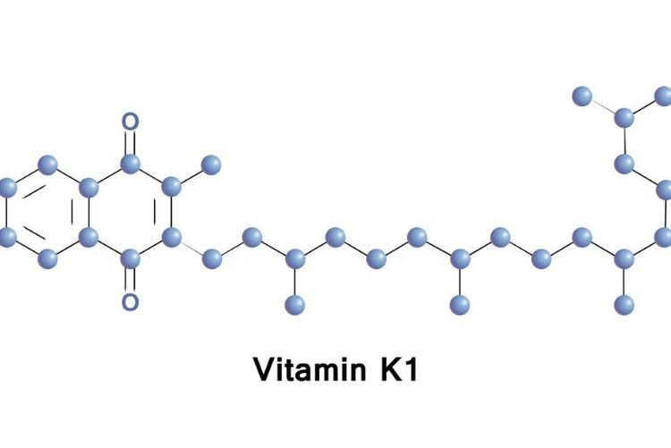 
Vitamin K1 có vai trò quan trọng đối với sức khỏe của con người
