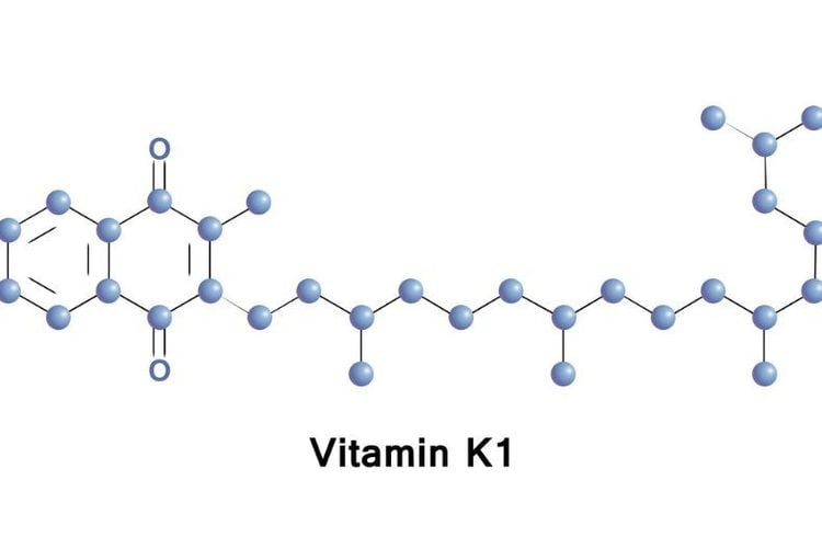 
Vitamin K1 có vai trò quan trọng đối với sức khỏe của con người
