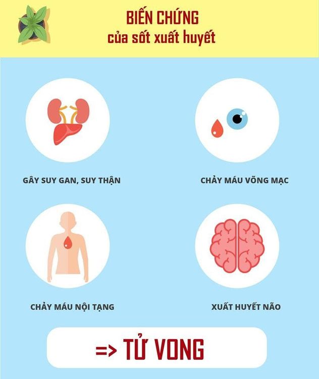 Các nguy cơ nếu bị sốt xuất huyết (SXH) biến chứng ở trẻ