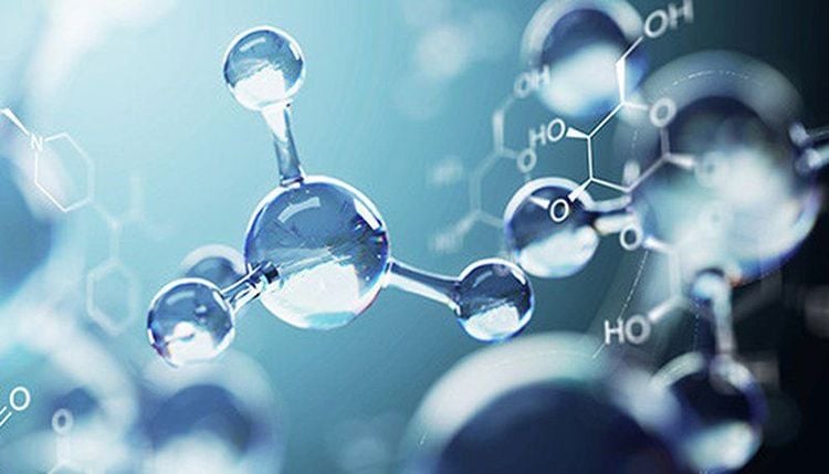 
Bí ngô chứa nhiều chất chống oxy hoá
