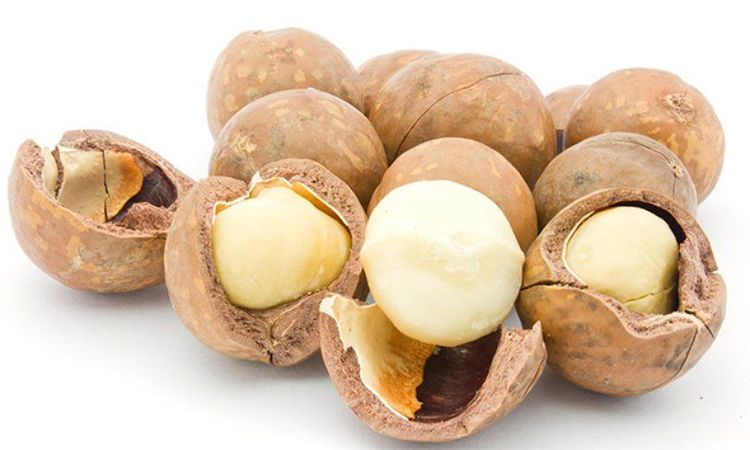 
Hạt macadamia chứa lượng lớn Calo khi sử dụng hằng ngày
