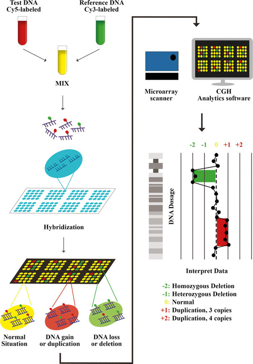 
Nguyên lý kỹ thuật microarray CGH
