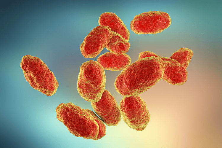 Haemophilus influenzae loại B (Hib) thường gây bệnh ở trẻ nhỏ