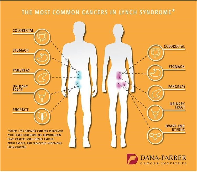
Hình 1: Các bệnh ung thư liên quan đến hội chứng Lynch. Nguồn: Viện nghiên cứu ung thư DANA-FARBER
