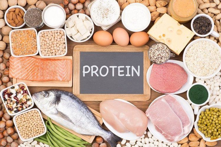 
Protein trong một số loại thực phẩm giúp cho cơ thể trong việc hình thành xương
