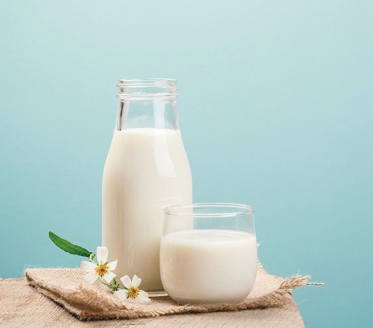 
Hạn chế sử dụng sữa và các sản phẩm từ sữa giúp điều trị không dung nạp lactose
