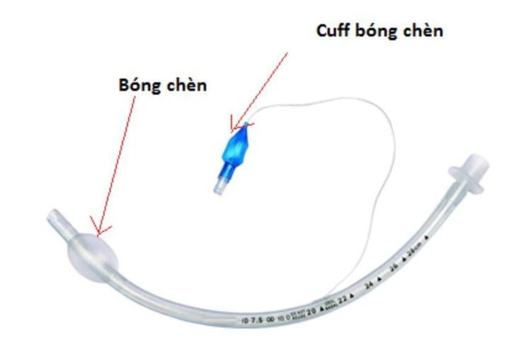 
Hình ảnh ống nội khí quản
