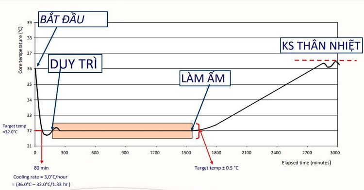 
Ba phase của hạ thân nhiệt điều trị
