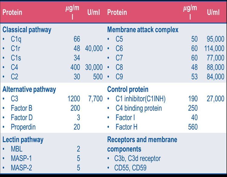 
Protein của hệ thống bổ thể
