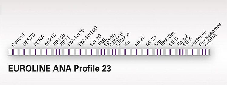 
ANA 23 profile là xét nghiệm xác định 23 kháng thể - kháng nguyên
