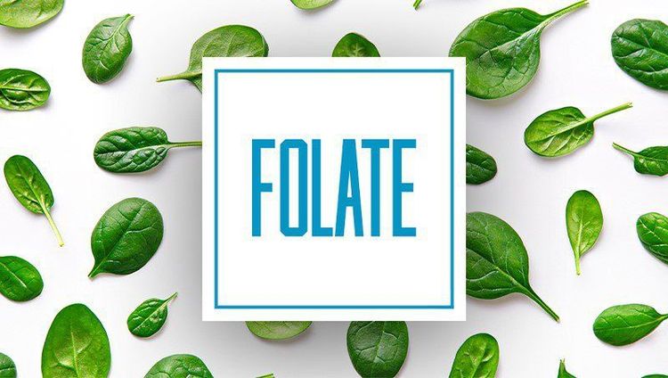 
Acid folic xuất hiện trong thực phẩm tự nhiên dưới dạng folate
