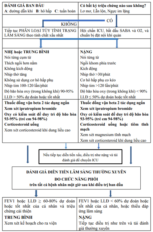 
Xử trí đợt cấp hen phế quản tại khoa cấp cứu
