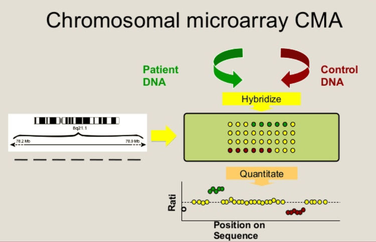 
Kỹ thuật Microarray cần được thực hiện tại cơ sở y tế chất lượng
